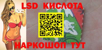 прущие грибы Нальчик