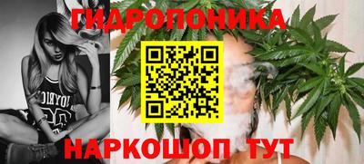 прущие грибы Нальчик