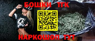 прущие грибы Нальчик