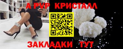 СК Новозыбков