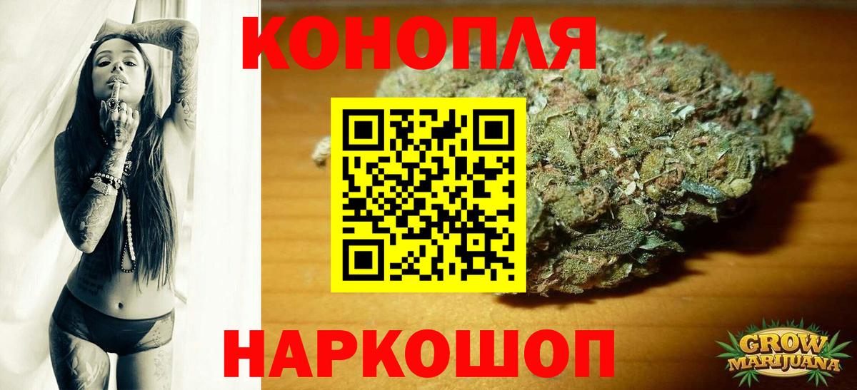 Бошки марихуана план Урус-Мартан